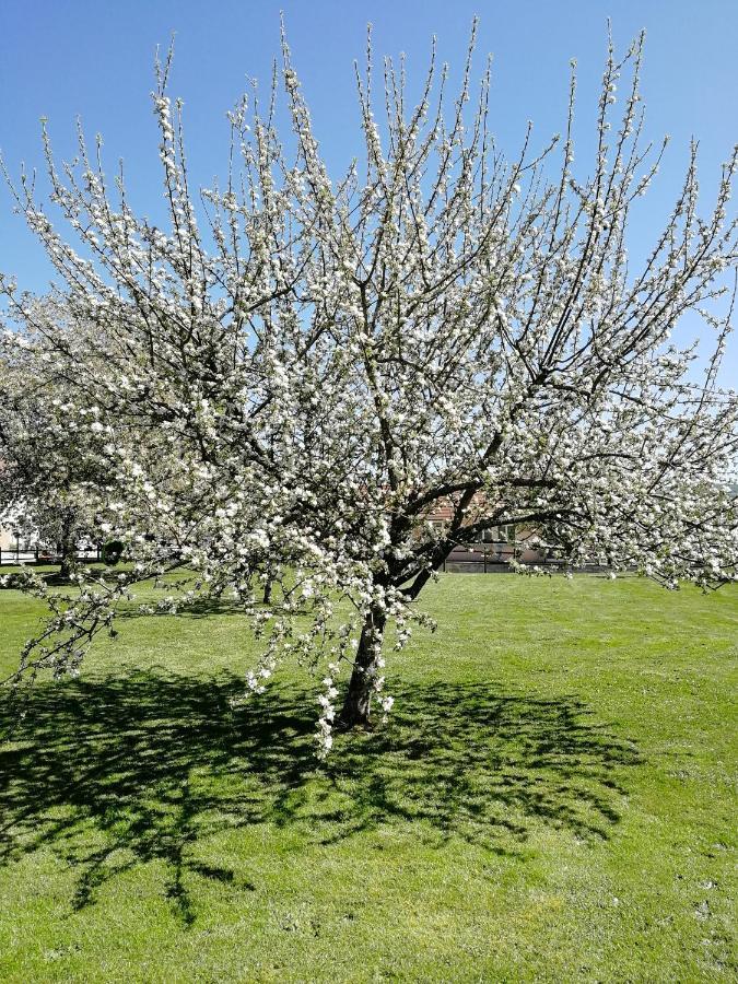 Studio A La Campagne Dans Corps De Ferme Renovee Chancey Kültér fotó
